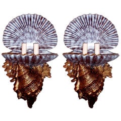 Pair of Shell Shaped Sconces