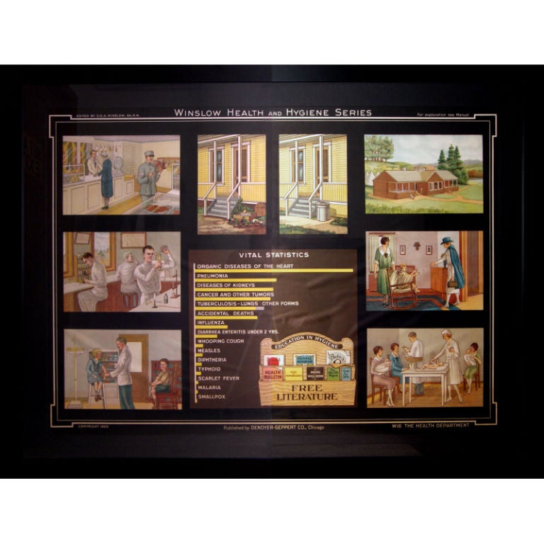 Winslow Health & Hygiene Series Medical Chart W16