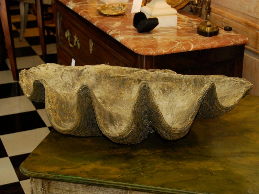 Large composite clam shell