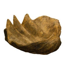 Large composite clam shell