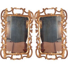 Pair of Gold Gilt Mirror