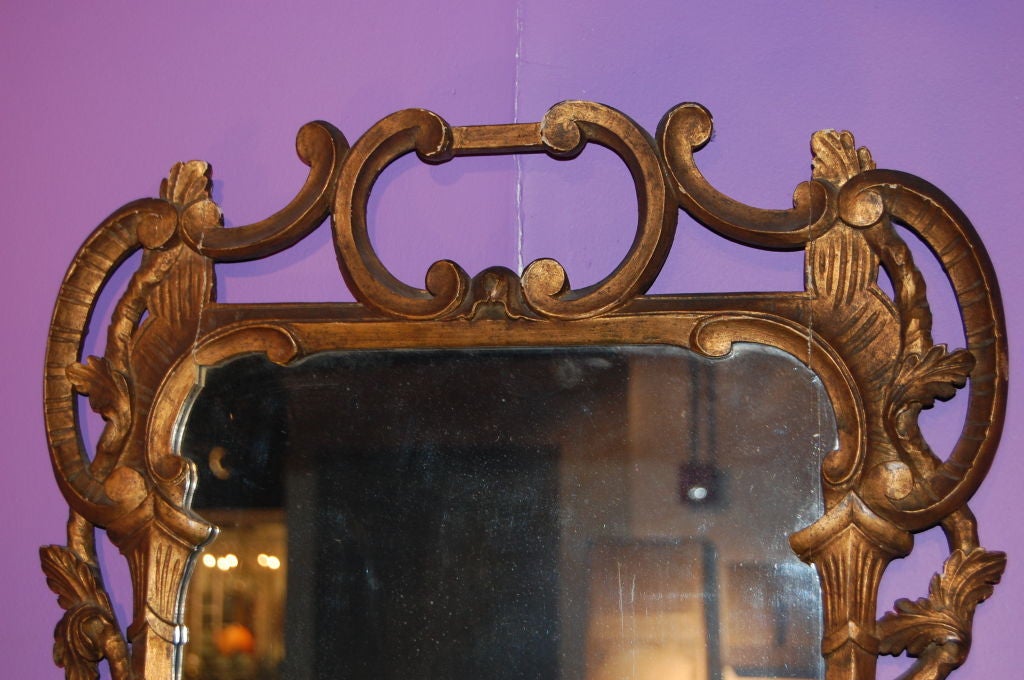 Pair of Gold Gilt Mirror