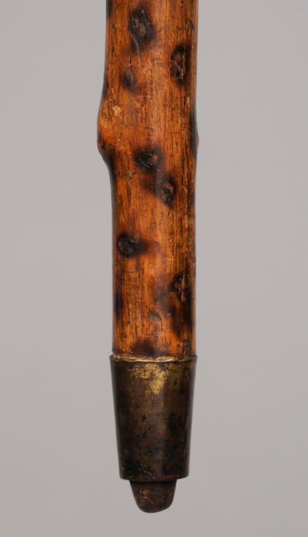 English Yew Wood Walking Stick 1