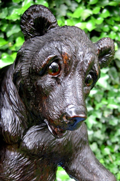 A well carved beautiful old Black Forest plant stand or pedestal with bear cubs climbing a tree. They each feature glass eyes and are nicely rendered. The top unscrews. It is approx 40 inches tall and the base diameter is 16 inches while the tops is