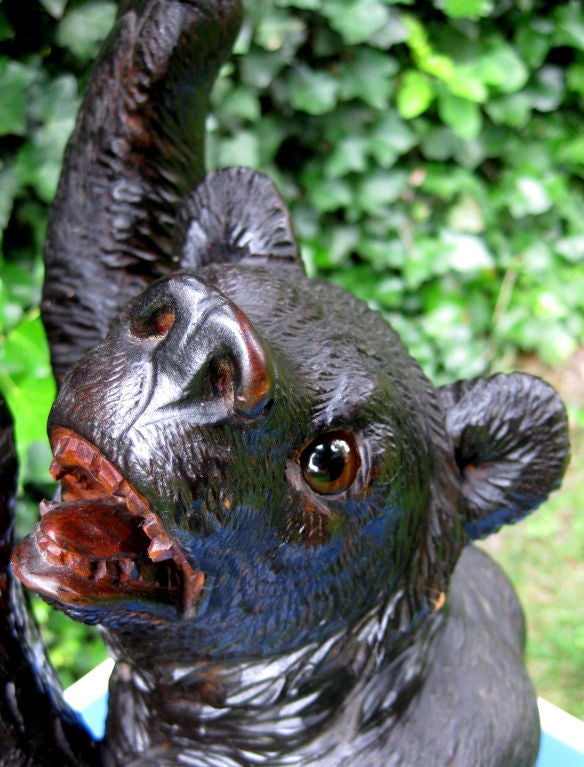 bear plant stand