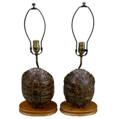 Nice pair of Turtle shells mounted as lamps