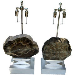 Large special pair of nickel silver leaved petrified wood lamps