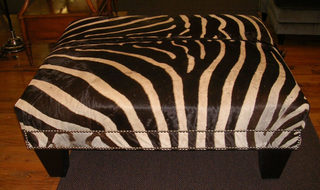 A contemporary rectangular ottoman with vintage dark brown and ivory zebra hide upholstered to show a wisp of the mane with double nailhead border resting on triangular wood feet.