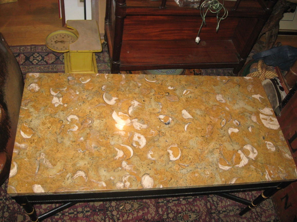 Unusual Fossil Shell Mable Top and Ebonized Wool Coffee Table with Gilt Details