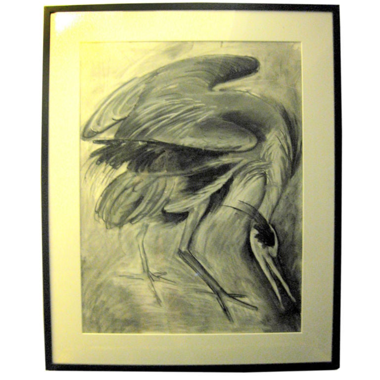 Drawing Of A Bird
