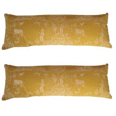 2 VINTAGE HAND BLOCK PRINTED 'DOWN ON THE FARM' PILLOWS