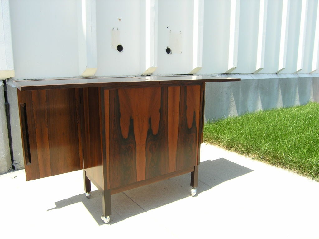 20th Century Rosewood Dry Bar Cabinet on casters from Norway