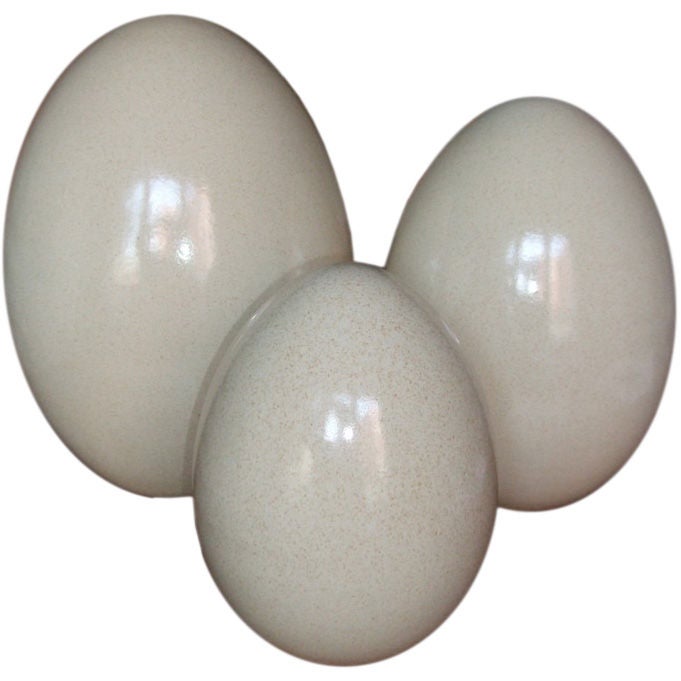 Set of 3 large porcelain eggs