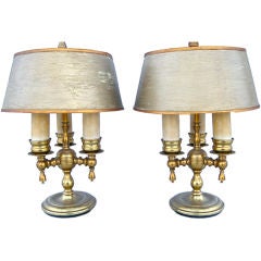Petite Library Lights