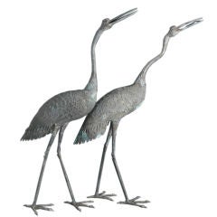 Antique A Pair of Impressive Japanese Bronze Cranes from the Meji Period