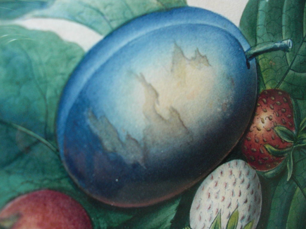 Watercolor Pair of 19th century Scottish fruit waterclors