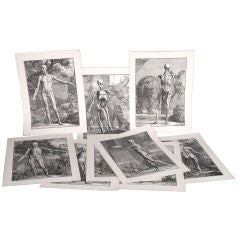 Set of Nine Anatomical Prints by Bernardi Siegfried Albini