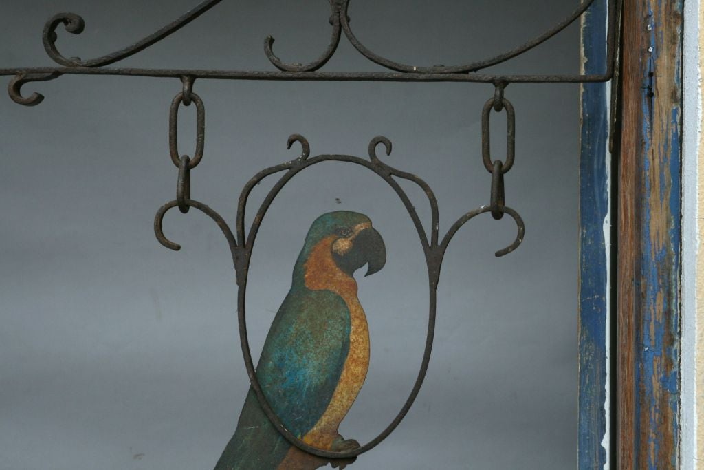 American Wrought Iron Wall Hanging with Painted Parrot