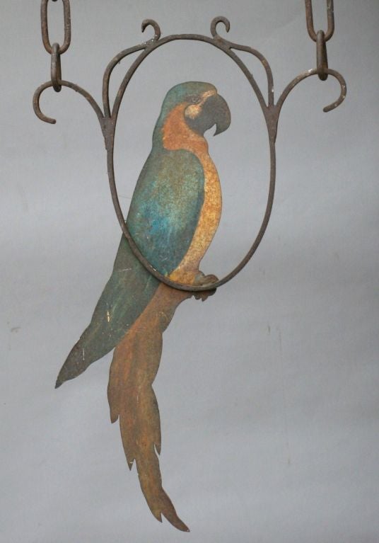 Wrought Iron Wall Hanging with Painted Parrot. Incredible painting on both sides. Wall bracket measures 16.5 tall x 9 wide.