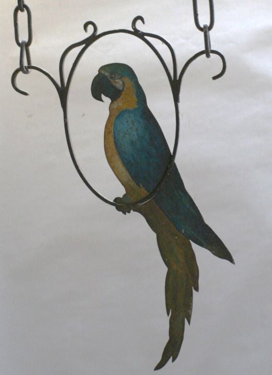 Wrought Iron Wall Hanging with Painted Parrot 4