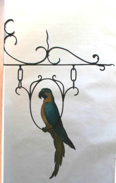 Wrought Iron Wall Hanging with Painted Parrot 3