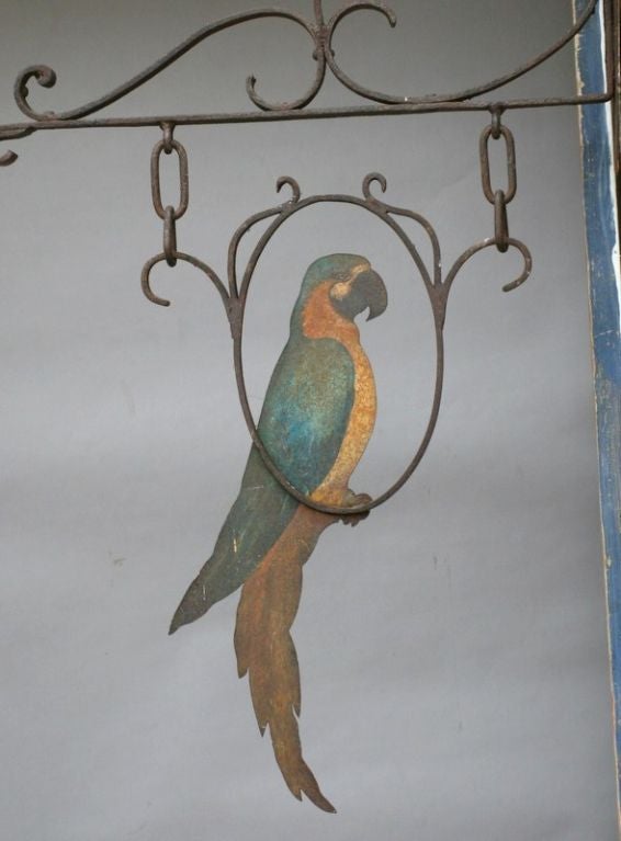 Wrought Iron Wall Hanging with Painted Parrot 1