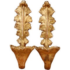 Charming Pair of Italian Antique Giltwood Sconces