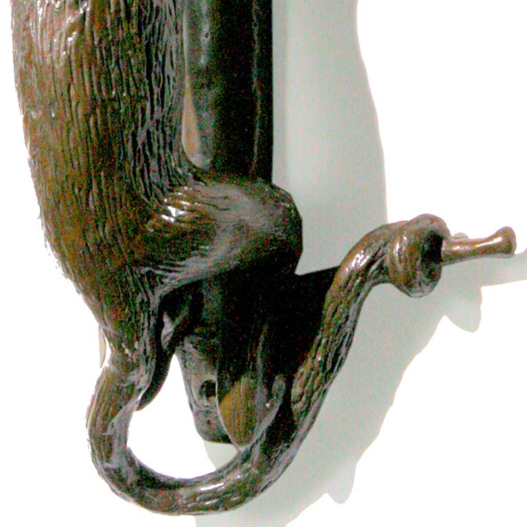 monkey door knob