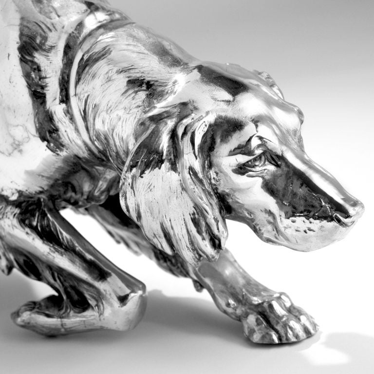 silver hunting dog