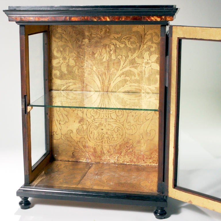 Tortoise Vitrine