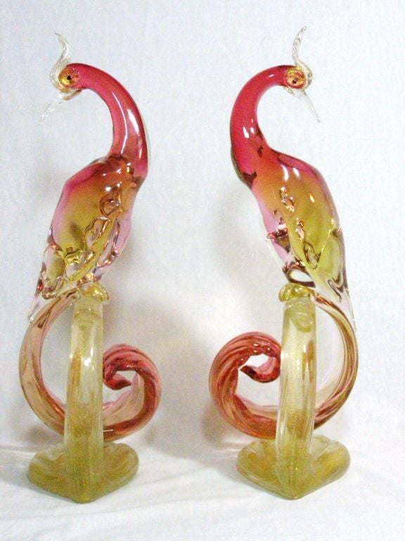 A rare and magnificent pair of large Murano glass Birds of Paradise created by Alfredo Barbini in Italy during the 1950's. These elegant birds have a truly graceful form with a beautiful color combination of cranberry and amber. Gold aventurine