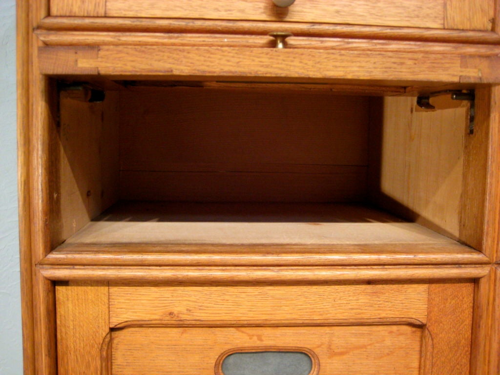 French Cartonnier or File Cabinet 1
