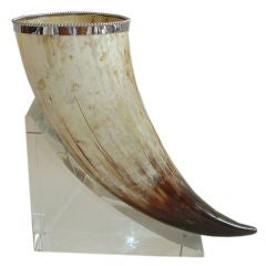 Horn Mounted on Lucite Base