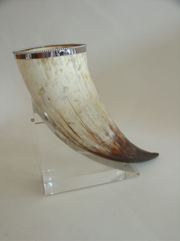 Horn Mounted on Lucite Base