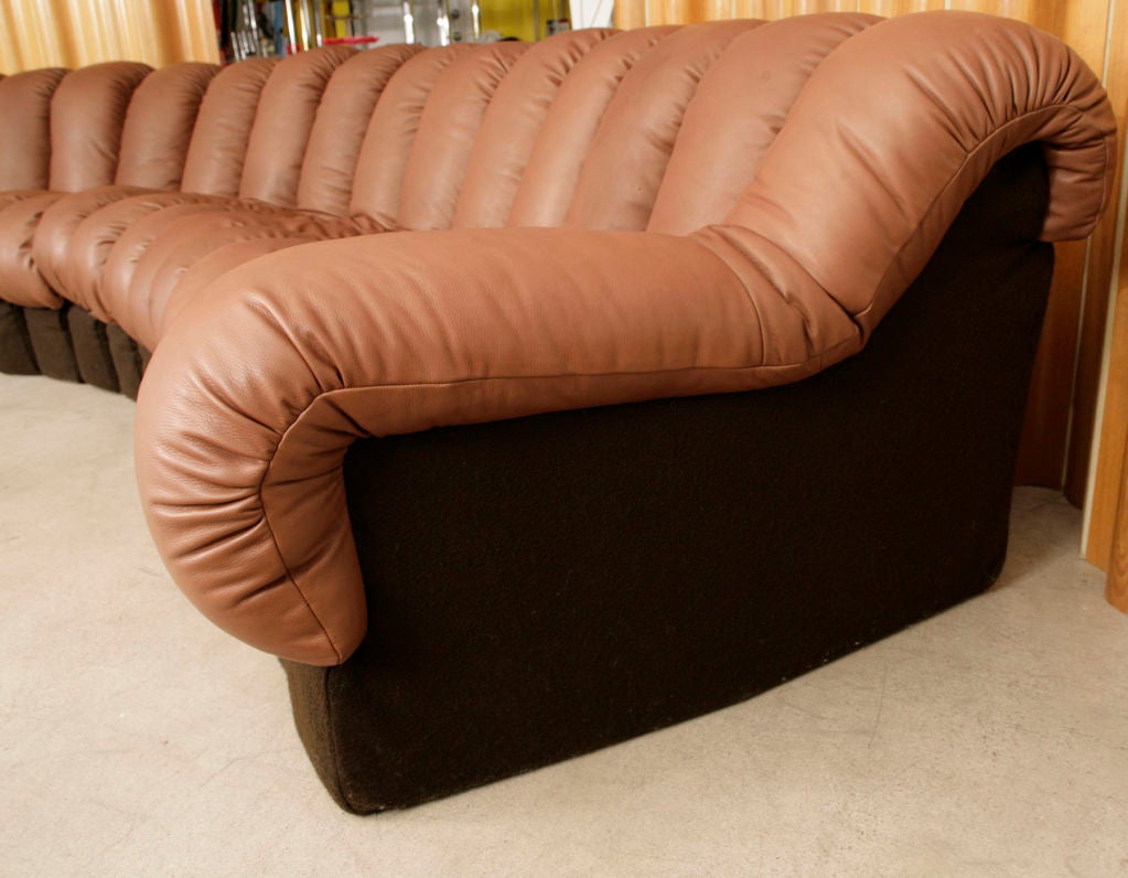 Late 20th Century De Sede DS600 Never Ending Sofa