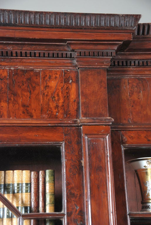 Rare Yew Wood Bookcase For Sale 1