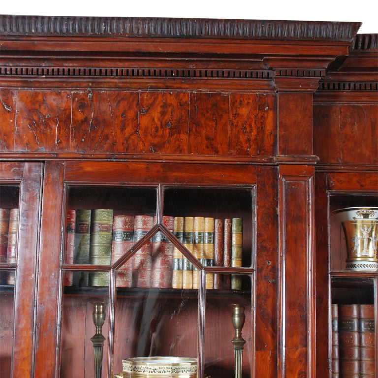 Rare Yew Wood Bookcase For Sale 3