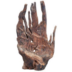 Natural Wood in the Form of a Hand