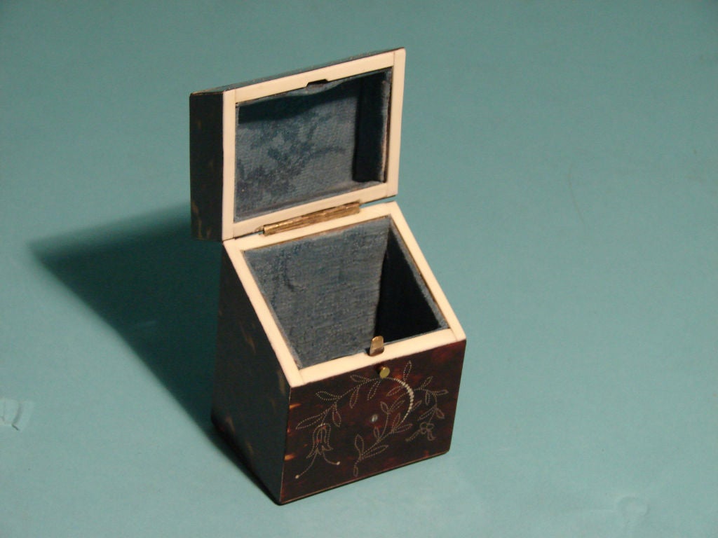 Tortoiseshell case