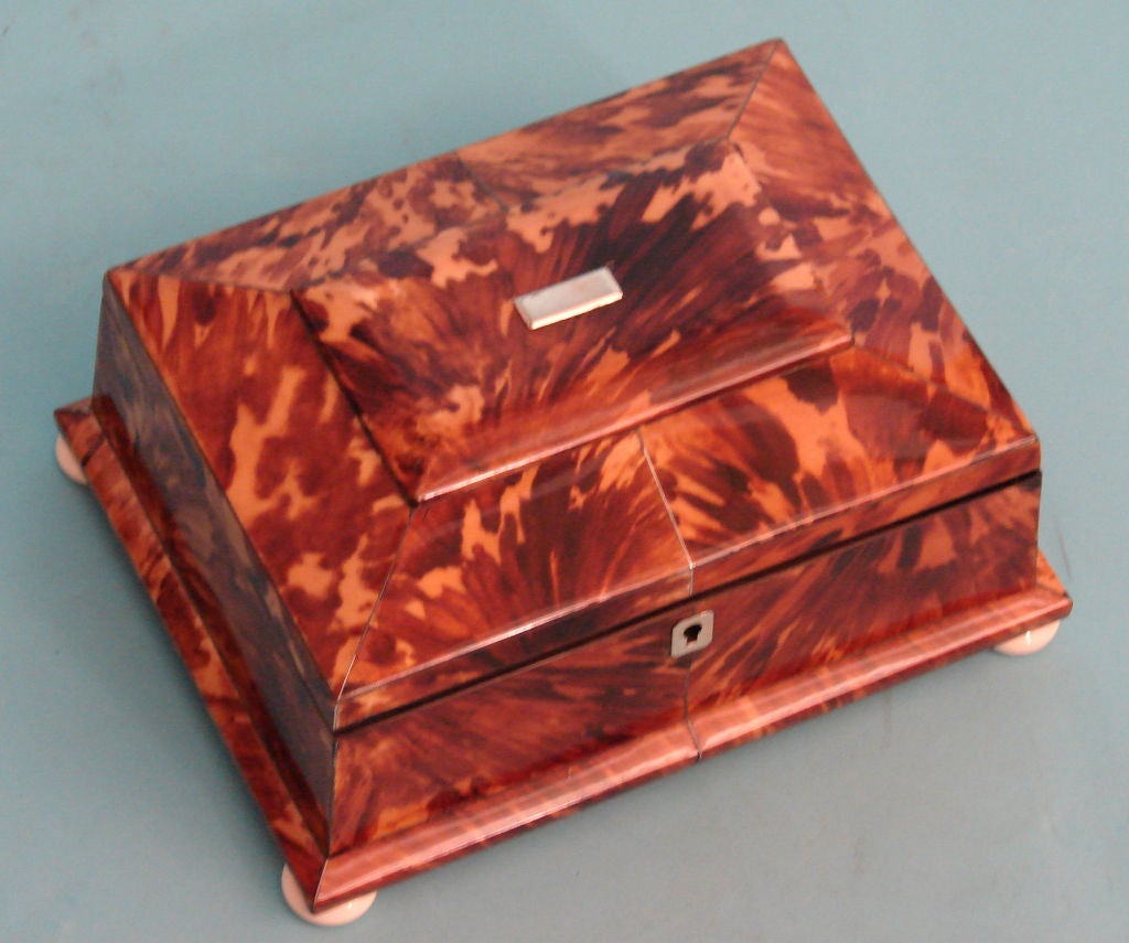 Regency period tortoiseshell box