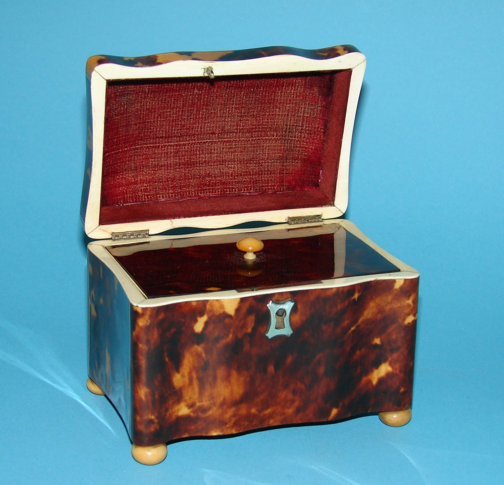 Ivory-inlaid tortoiseshell tea caddy