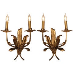 Pair of Spanish Gold Leafed Iron Sconces