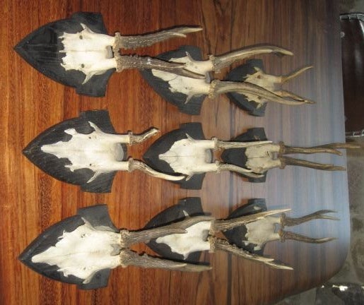 Mounted Antelope Horn Sets