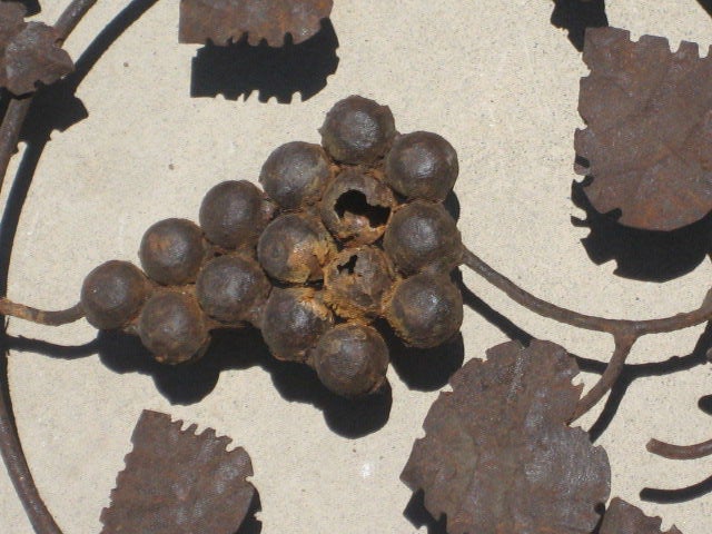 French Lantern Panel with Grapevine Detail For Sale