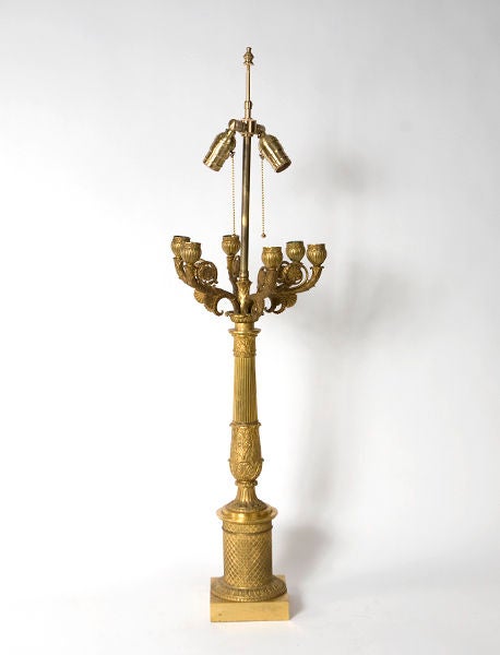 Eine französische vergoldete Bronze-Kandelaberlampe im Empire-Stil. Neu verkabelt.
Schirm nicht enthalten.