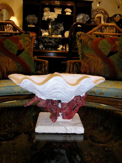 A gigas clam shell mounted on a piece of ancient Chinese red bamboo coral and coquina stone. Made and designed by FS Henemader Antiques, Inc.