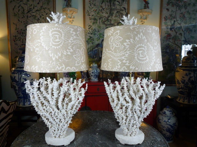 Pair of Real and Natural Octopus Coral Lamps