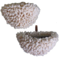 Pair of Brownstem Coral Wall Sconces or Lights