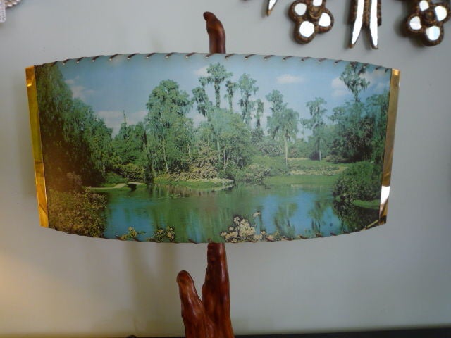 Mid-20th Century Large + Amazing Pair of Cypress Knee Lamps with Original Shades