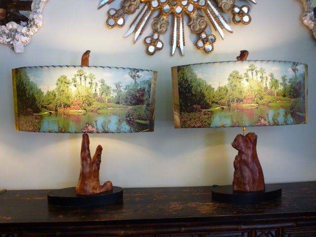 A pair of large and amazing cypress knee lamps with their original scenic Florida garden fiberglass shades. Possibly a picture of the Cypress Gardens in Florida,on the shades, the scene differs slightly from front to back.